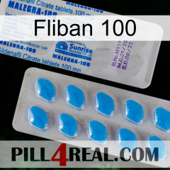 Fliban 100 new15